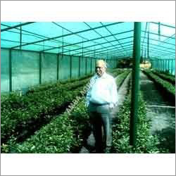Green House Nets Application: Agriculture
