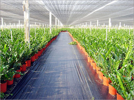 Agriculture Green House Shade Nets