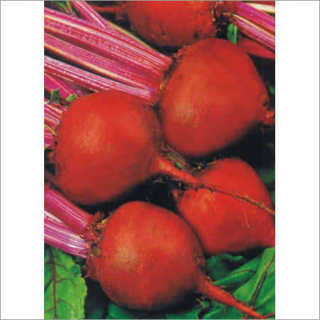 Beet Root Seeds