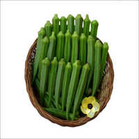 Lady Finger Seed