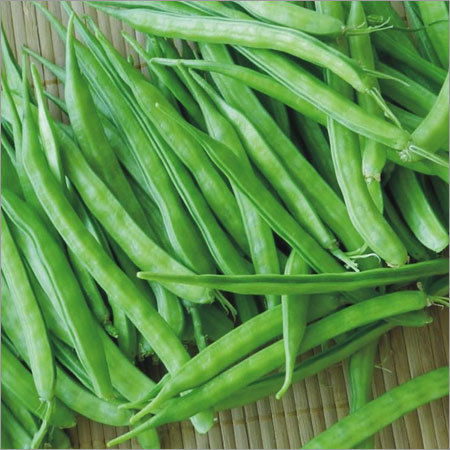 Green Cluster Bean Seed