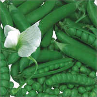 Peas Seeds