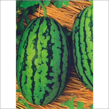 Open Pollinated Watermelon Seeds