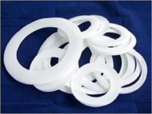 PTFE Solid Ring Gasket