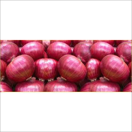 Fresh Red Onion