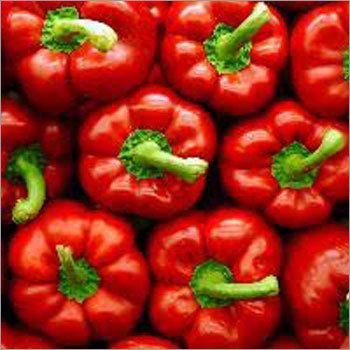 Red Capsicum