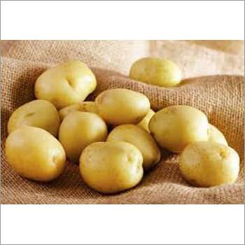Fresh Potatoes