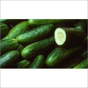 Fresh Cucumber