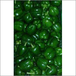 Fresh Capsicum