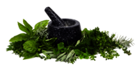 NEEM TABLET