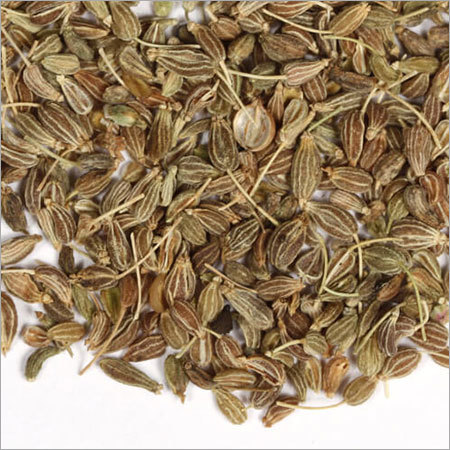 Aniseed