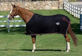 Horse Blanket