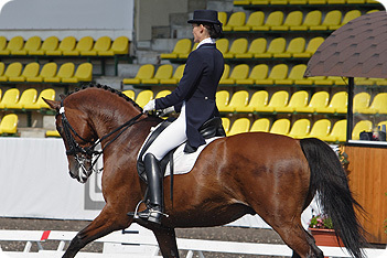 Horse Riding Dress