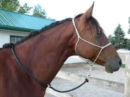 Horse Riding Lead Ropes