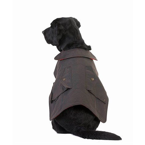 Skin Oil Dog Coat