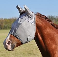 Fly Mask