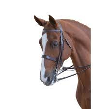 Horse Bridles