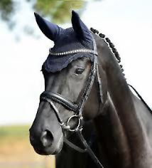 Fly Veil