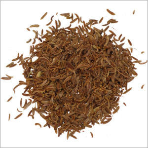 Fresh Cumin Seeds