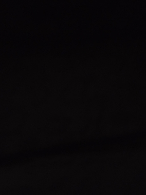 Automobile Lubricant Bottle