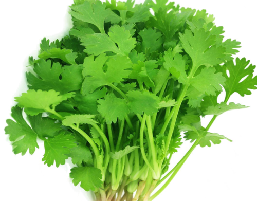 Coriander Seeds