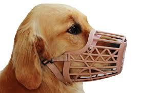 Dog Muzzles