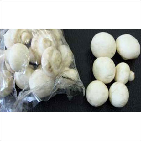 Button Mushroom