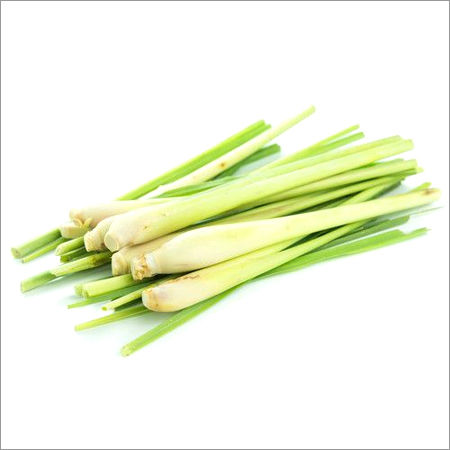 Lemongrass Essential Oil Purity: 100 %