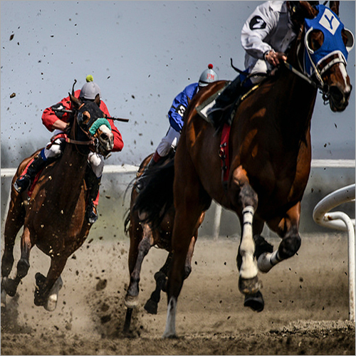 Horse Track Sand Horse Track Sand