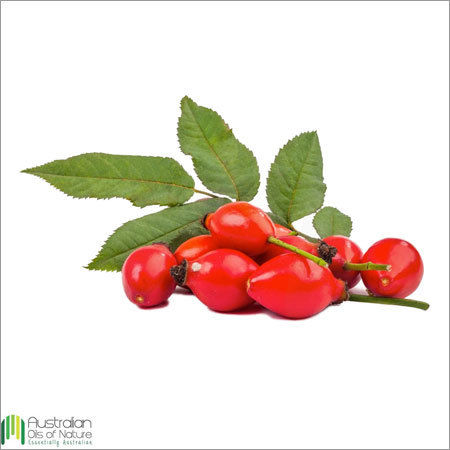 Rosehip Oil