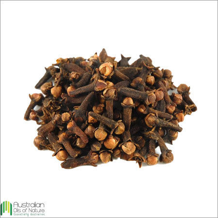 Clove Essential Oil