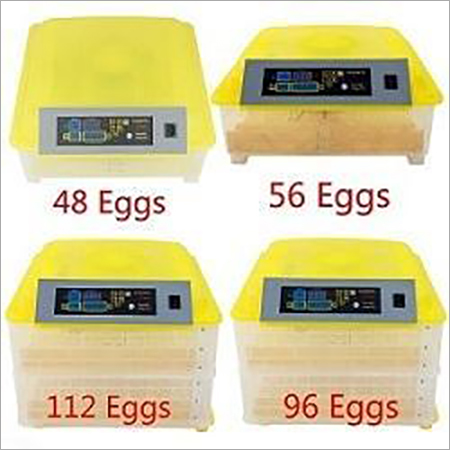 Egg Incubator