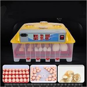 Egg Incubator