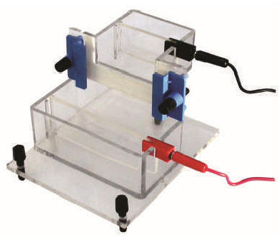 Vertical Electrophoresis Apparatus