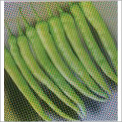 Aditya - Chilli F-1 Hybrid Seeds