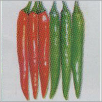 Jawalan - Chilli F-1 Hybrid Seeds