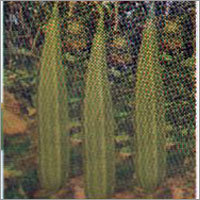 BNR-438l - Ridge Gourd F-1 Hybrid Seeds