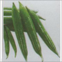 Kobra & Nagraj - Snake Gourd F-1 Hybrid Seeds
