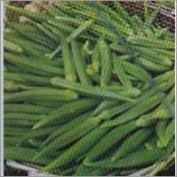 Amar - Snake Gourd F-1 Hybrid Seeds