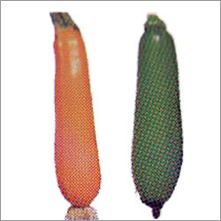 Summar Squash Hybrid Seeds