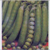 Ganga Jamuna - Pea Seeds