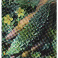 Blpasa - Bitter Gourd F-1 Hybrid Seeds