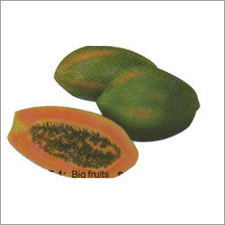 Moumita - Papaya