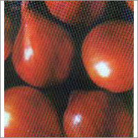 Keep Long - Fresh Onion