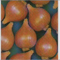 Red Globe - Fresh Onion