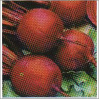 Fresh Beetroot