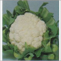 Sriram - Cauliflower F-1 Hybrid Seeds