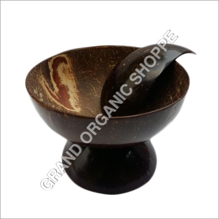 Coconut Shell Ice Cream Bowl