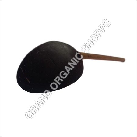 Coconut Shell Salt Spoon