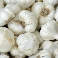 Garlic desidratado